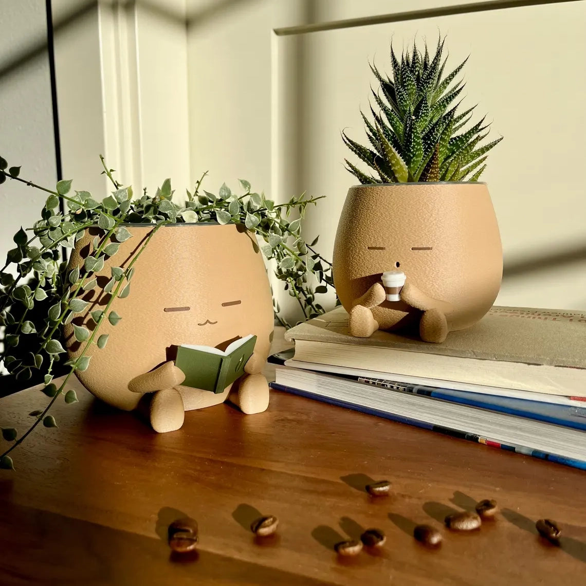 Cute Planter Set