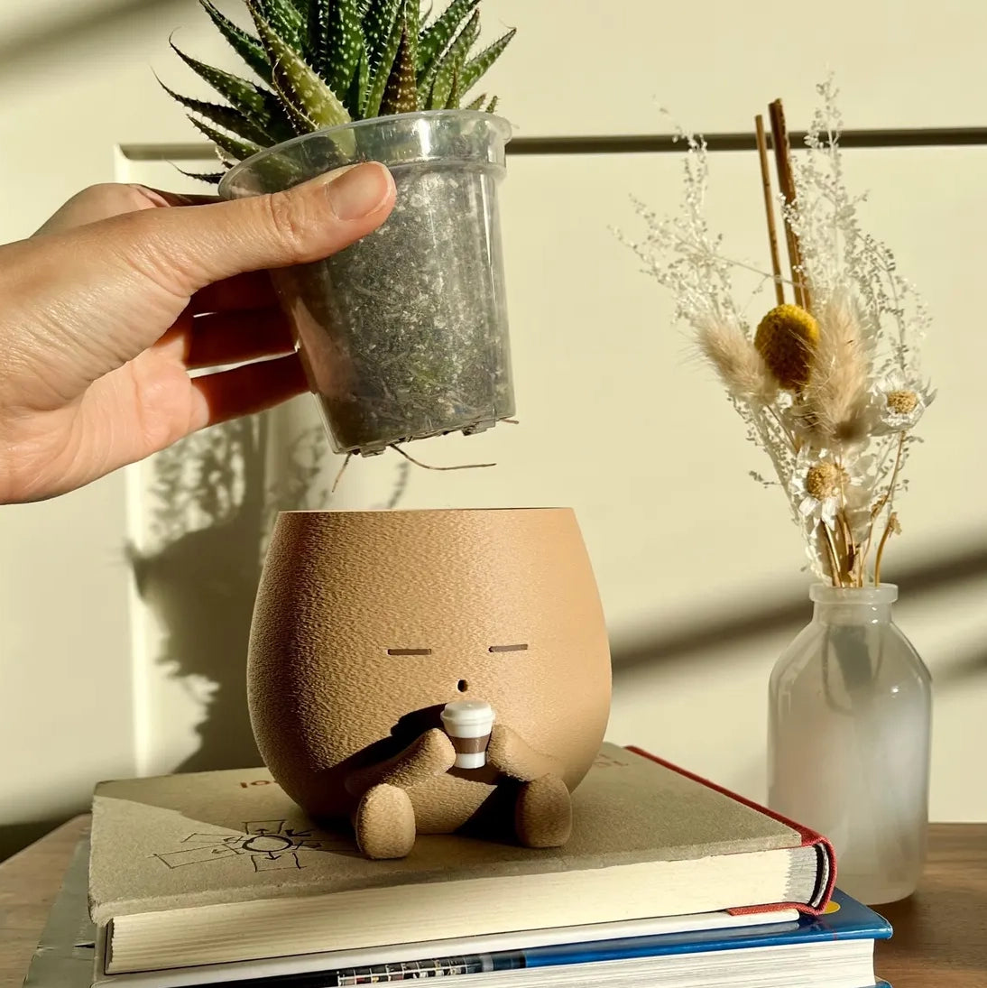 Cute Planter Set